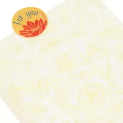 Disney Store Coffret De Pâtisserie à Offrir La Princesse Et La Grenouille -FUNKO Boutique 465013382831 4