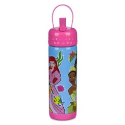 Disney Store Gourde Princesses Disney -FUNKO Boutique 465022812282 2