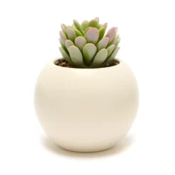 Disney Store Plante Artificielle En Pot Baymax, Les Nouveaux Héros 7 Disney Store Plante Artificielle En Pot Baymax, Les Nouveaux Héros -FUNKO Boutique 465043353962 2