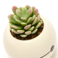 Disney Store Plante Artificielle En Pot Baymax, Les Nouveaux Héros 9 Disney Store Plante Artificielle En Pot Baymax, Les Nouveaux Héros -FUNKO Boutique 465043353962 4