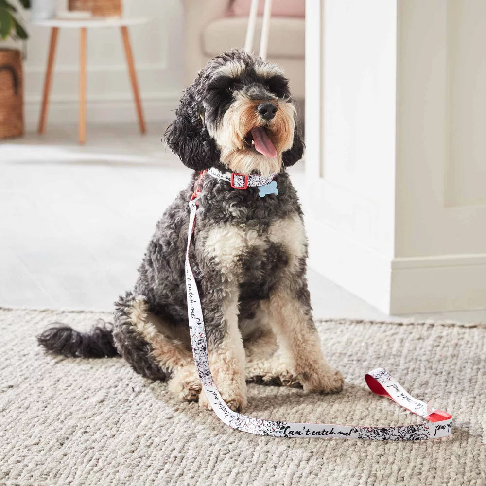 Disney Store Collier Pour Chien Les 101 Dalmatiens 3 Disney Store Collier Pour Chien Les 101 Dalmatiens – Image 3