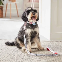 Disney Store Laisse Pour Chien Les 101 Dalmatiens 8 Disney Store Laisse Pour Chien Les 101 Dalmatiens -FUNKO Boutique 6504051700030M 2